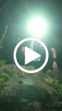 BIB:  <button type="button" onclick="openModal(27921385)" class="btn btn-primary btn-sm float-right" data-toggle="modal" data-target=".modal-high-quality">
                <i class="fa fa-download"></i> Download
                </button>